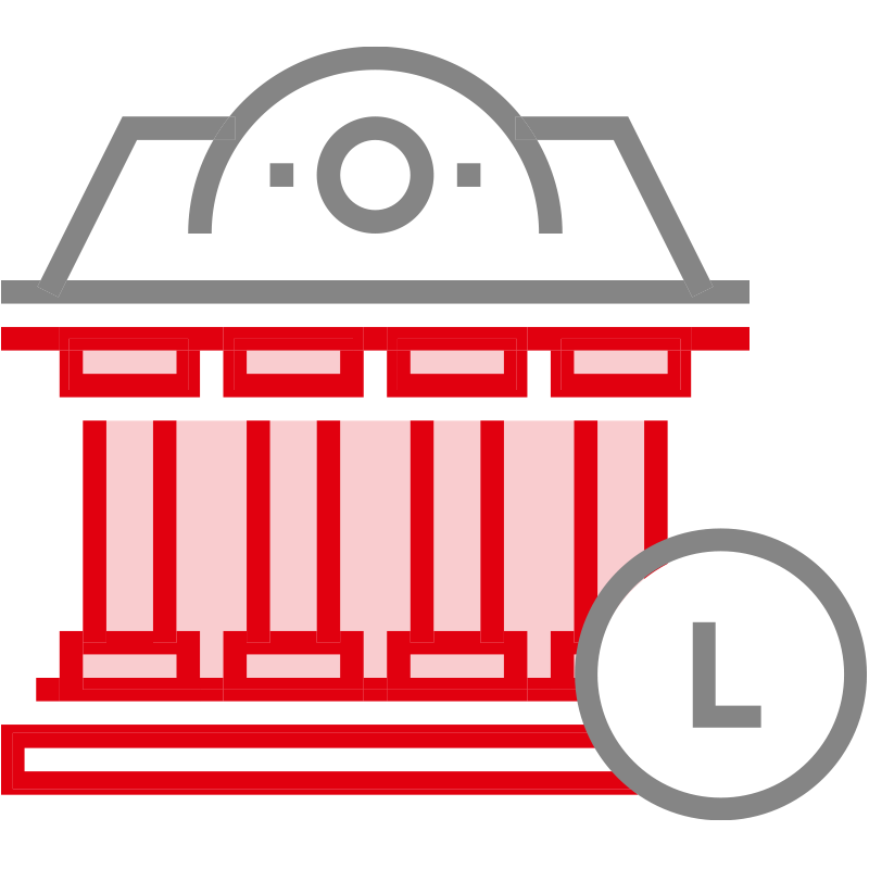 LIMITED LIABILITY COMPANY ACCOUNT
